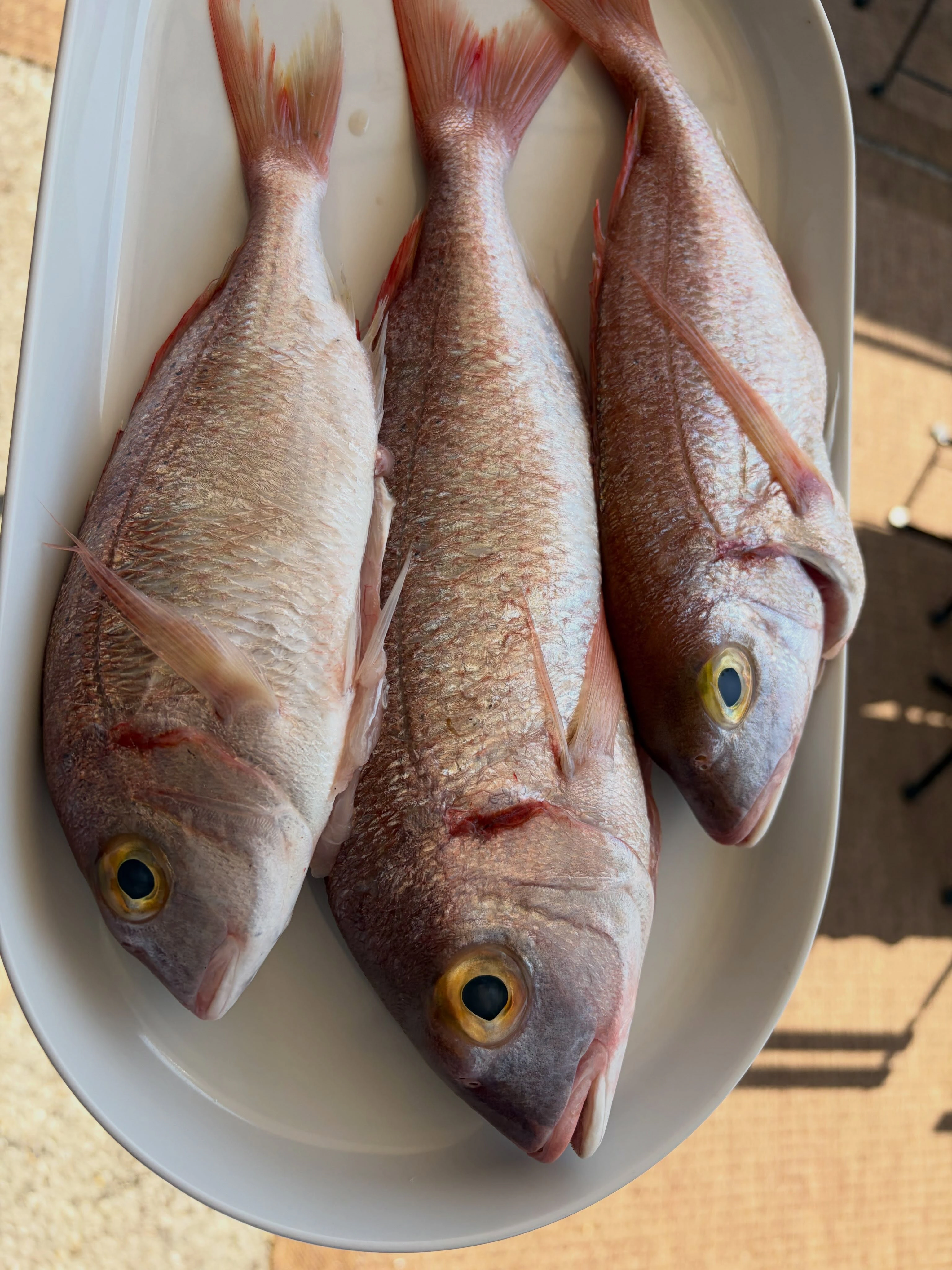 Trois poissons frais entiers présentés sur un plateau blanc